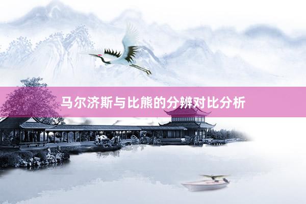 马尔济斯与比熊的分辨对比分析